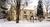 White Horse Inn::BedAndBreakfast.com