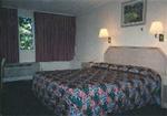 Rex Motor Inn