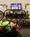 Holiday Inn Express Hotel & Suites Atlanta-Emory University Area::Priceline.com