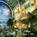 Embassy Suites Hotel New Orleans::Priceline.com