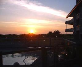 Web-sea_gull-eview-1
