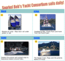 Snorkel Bob's