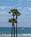 Newport Beachwalk Hotel::Priceline.com