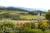 Josie's Bozeman Bed and Breakfast::BedAndBreakfast.com