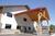 Best Western Sunset Motor Inn::Orbitz