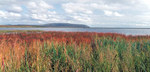Cape Krusenstern National Monument