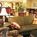Residence Inn by Marriott Potomac Mills::Orbitz