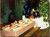 Quality Inn Bardstown::Expedia