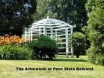 Tn-arbor_gazebo