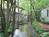 Dollywood::ThrillNetwork.com