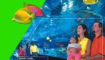 Ripley's Aquarium
