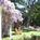 Cheshire Cat Inn::Hotels.com