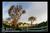 Santa Rita Inn::BedAndBreakfast.com