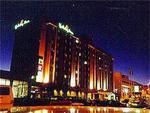 Holiday Inn Binghamton-Hawley St-Dwt