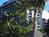 Hale Koa Hotel (Military Only) from Yahoo! Travel