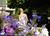 Stonecroft::BedAndBreakfast.com