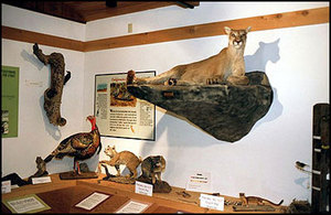 Web-interpretive-center