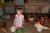 Rocky Acre Farm Bed and Breakfast::TripAdvisor