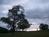 Wattstull Inn::TripAdvisor