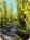 The Willows::BedAndBreakfast.com