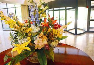 Web-hvn_tmar-lobby-3