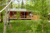 SECLUDED, PET FRIENDLY CABINS NEAR ROCKY MOUNTAIN NATIONAL PARK::PetFriendly.com
