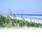 Pawleys Island::Townofpawleysisland.com