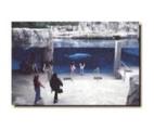 Mystic Aquarium