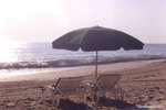 Tn-vbcbeachumbrella