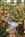 Embassy Suites Atlanta - Buckhead::Expedia
