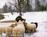 Homeplace Bed and Breakfast::BedAndBreakfast.com