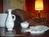 Grandview Lodge::BedAndBreakfast.com