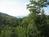Nestlenook Farm Resort::TripAdvisor