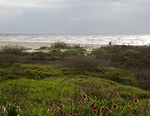 Frank Carmona Beach Pocket Park #2