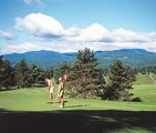 Green Mountain Inn