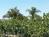 Tivy Mountain Vintners::BedAndBreakfast.com