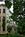 A B and B in Cambridge::Expedia