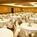Los Angeles Airport Marriott::ProfessionalTravelGuide.com