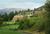 Skamania Lodge::Priceline.com