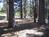 Pine City Campground from Farm1.static.flickr.com