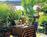 Hotel Baronette::Expedia