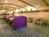 Best Western Hudson House Inn::Expedia