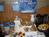 Holiday Inn Express Suites Bloomington::Orbitz