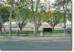Tn-wahweaprvpark-image2