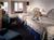 Hotel Aspen::Priceline.com