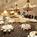 Marriott Fort Wayne::Travelocity.com