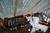 Hilton Bellevue::TripAdvisor