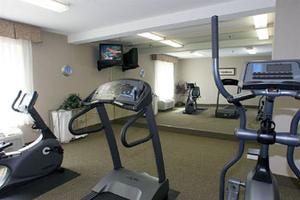 Web-fat_fres-fitns-1
