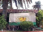 Rockin' Baja Lobster--Old Town::Yahoo! Travel