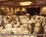 Holiday Inn Golden Gateway::Orbitz